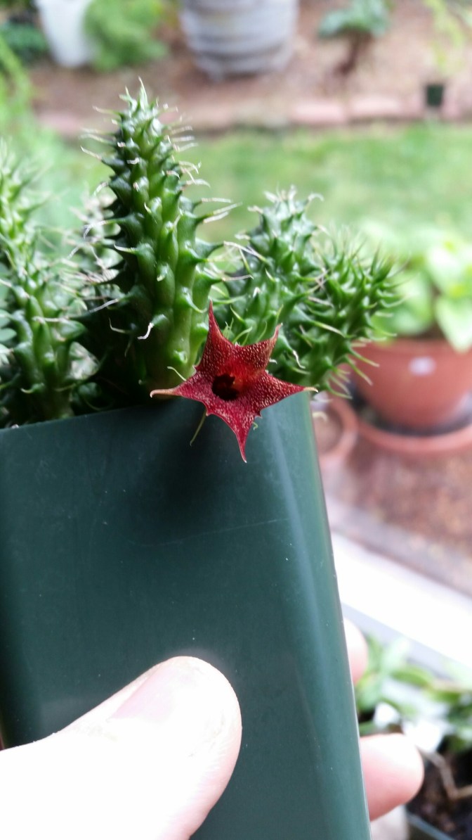 20150506_083423.jpg image