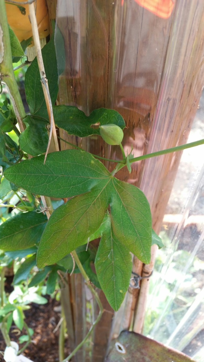 20150509_182914.jpg image