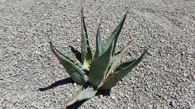 20150704_132836.jpg image