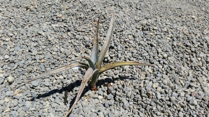 20150704_132849.jpg image