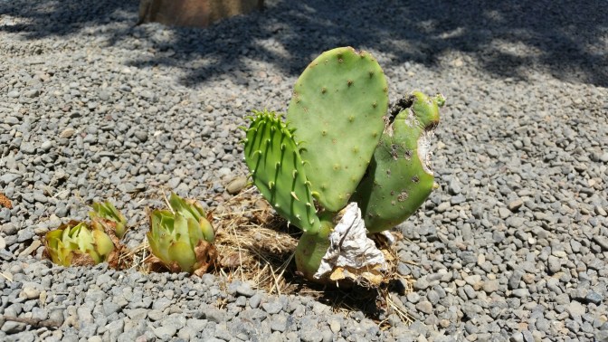 20150704_132929.jpg image