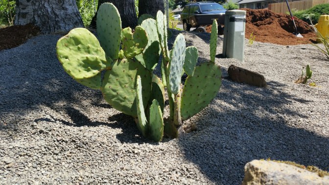 20150704_132954.jpg image