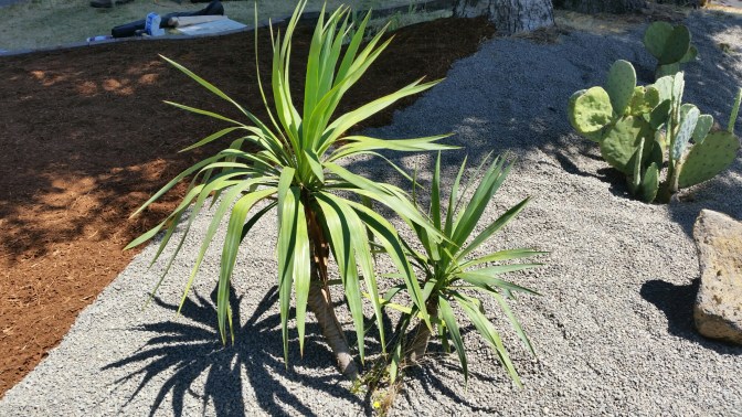 20150704_133017.jpg image