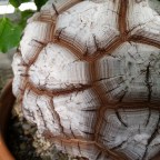 Merry Christmas and so long to 2015