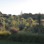 Butterfly Creek… something to work towards