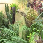 Christchurch, the city of conservatories