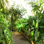 Dunedin Botanic Gardens