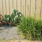 Out in the Old (Pacific North-)West